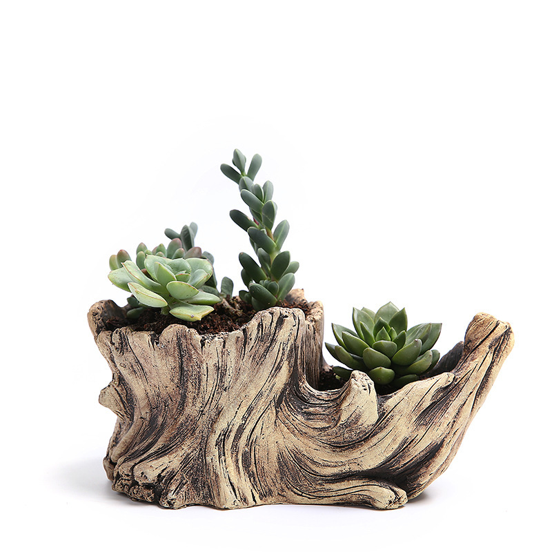 Japanese Garden Bonsai - Succulent Flower Pot Wood Tree Root