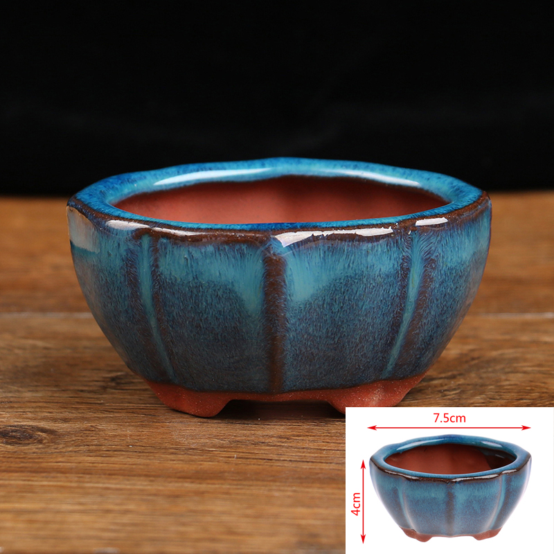 1pcs Bonsai Mini Ceramic Flowe - Japanese Garden Bonsai ulasan dan harga