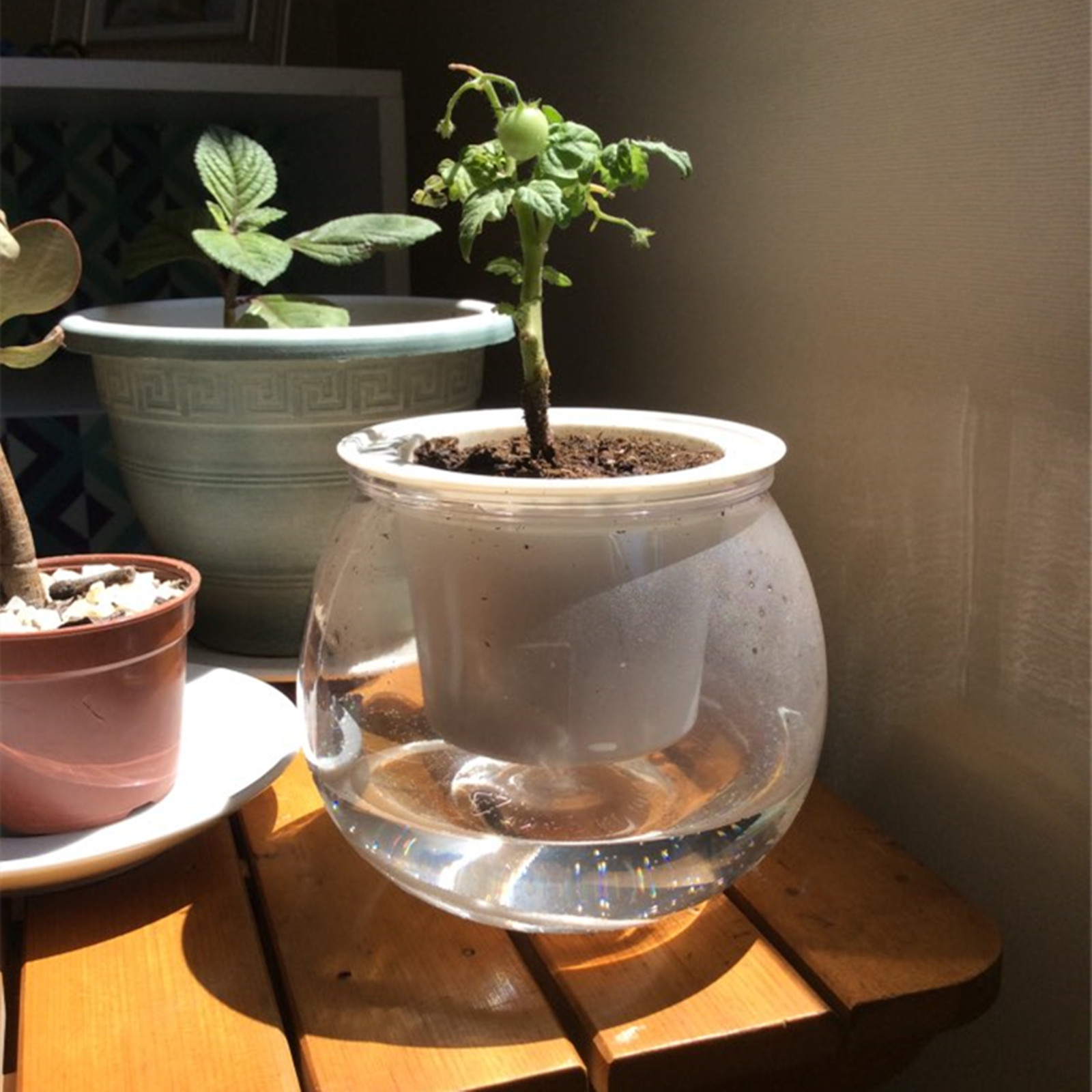 Self Watering Planter Pots Min - Japanese Garden Bonsai ulasan dan harga