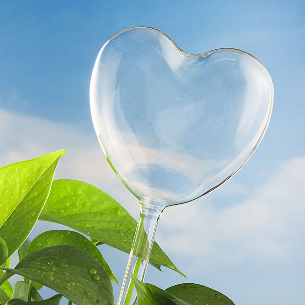 3Pcs Heart Shaped Glass Self W - Bonsai Gardenia ulasan dan harga