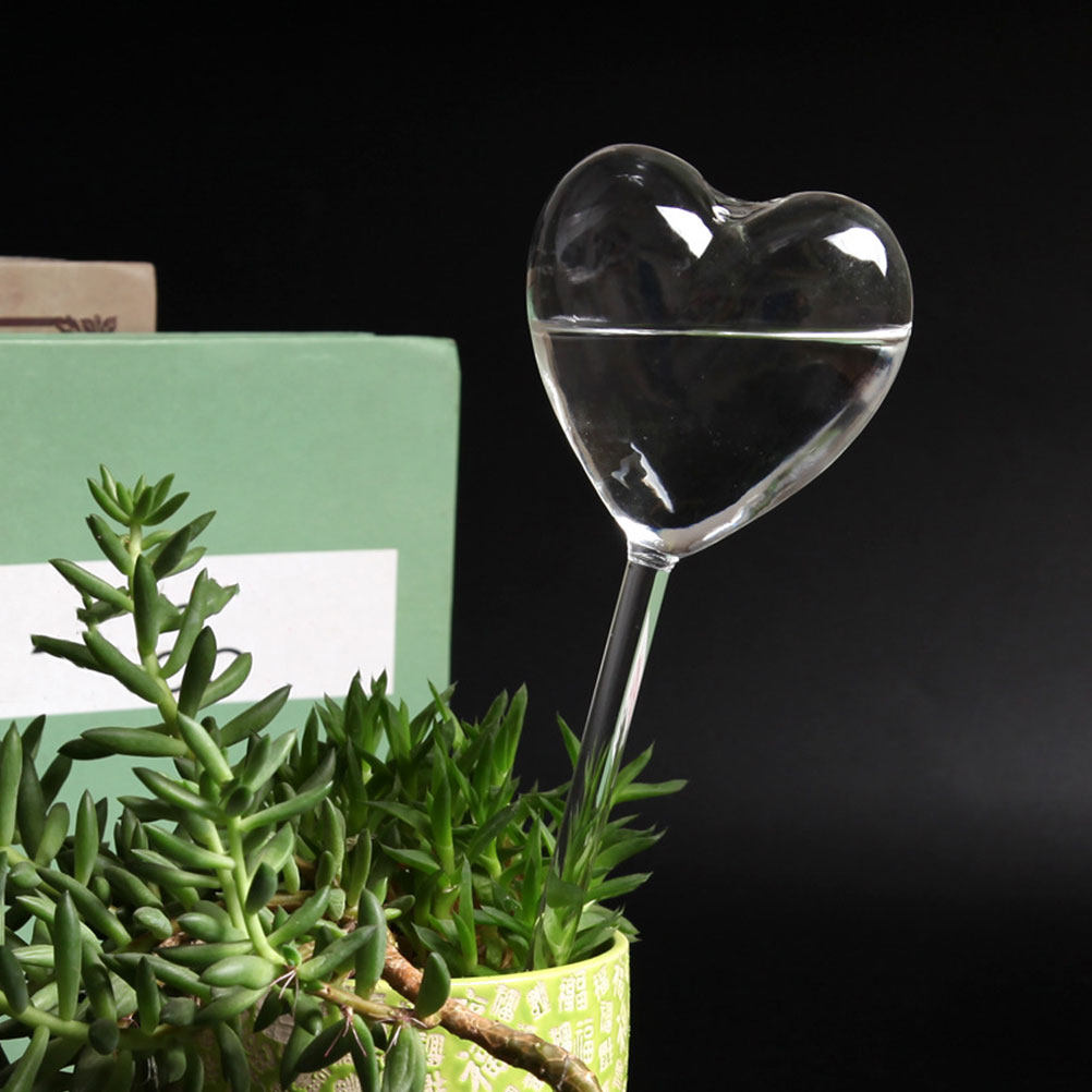 3Pcs Heart Shaped Glass Self W - Bonsai Gardenia ulasan dan harga