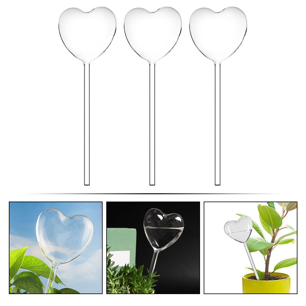 3Pcs Heart Shaped Glass Self W - Bonsai Gardenia ulasan dan harga