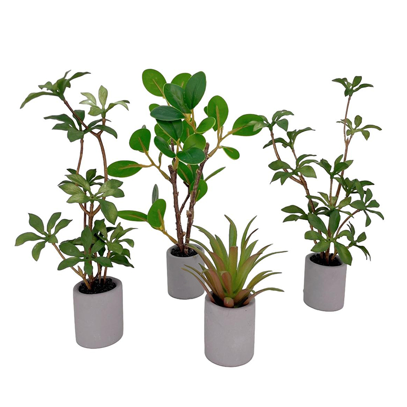 1:6 Dollhouse Miniature Potted - Bonsai Gardenia ulasan dan harga