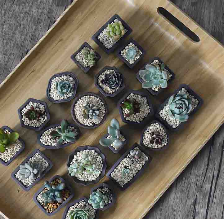 Yixing Purple Sand Flower Pot  - Japanese Garden Bonsai ulasan dan harga