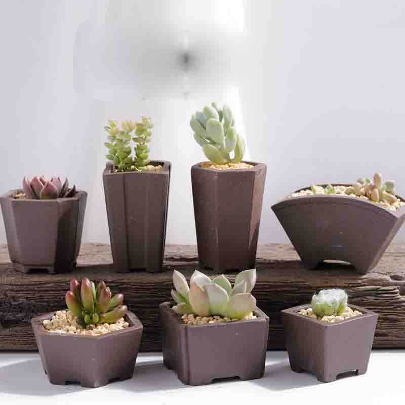 Yixing Purple Sand Flower Pot  - Japanese Garden Bonsai ulasan dan harga