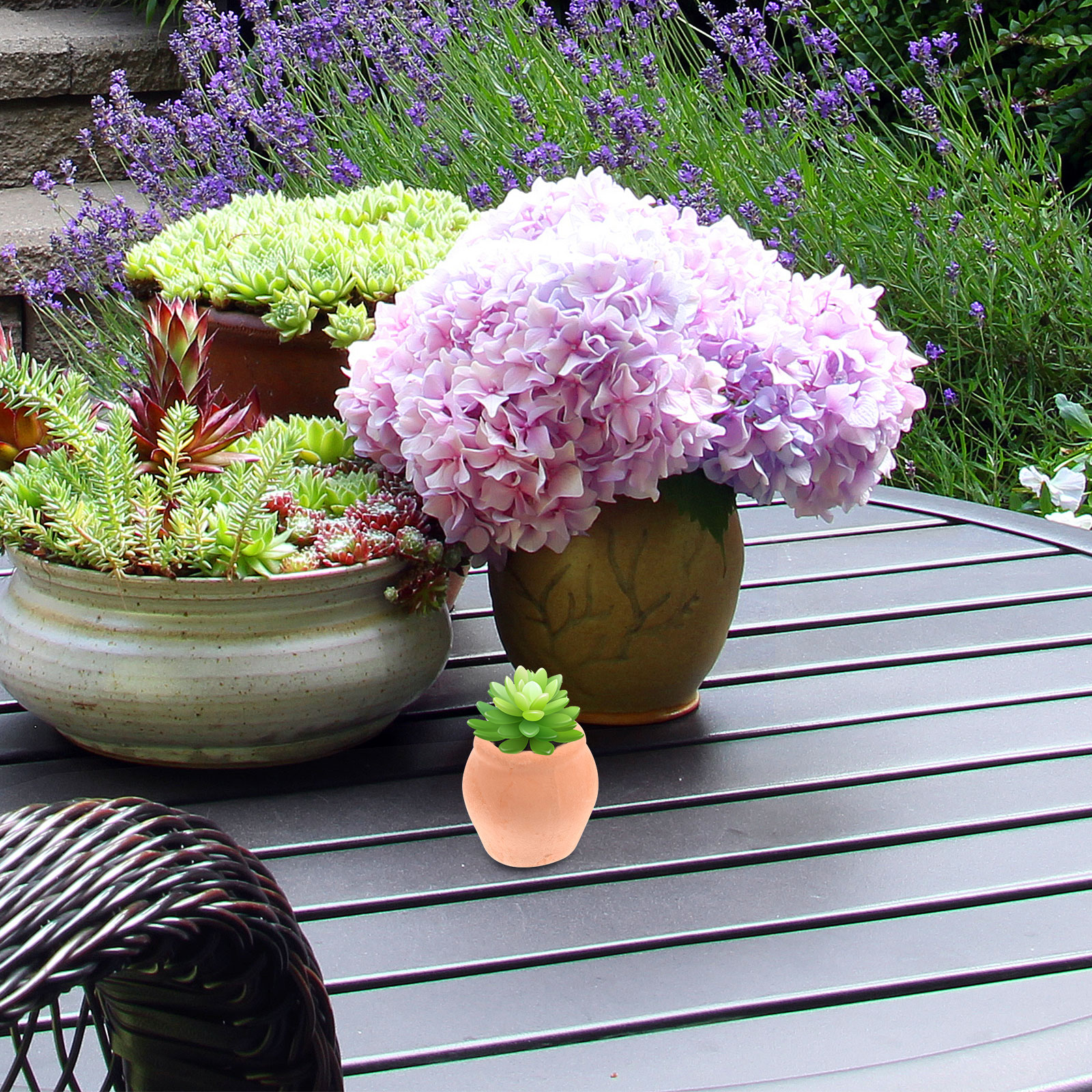 Mini Ceramic Flower Pot Plante - Japanese Garden Bonsai ulasan dan harga
