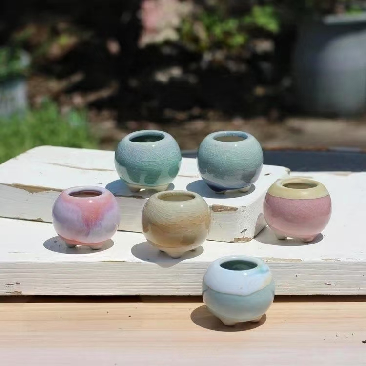 6Pcs Mini Flowerpot Succulents - Bonsai Gardenia ulasan dan harga