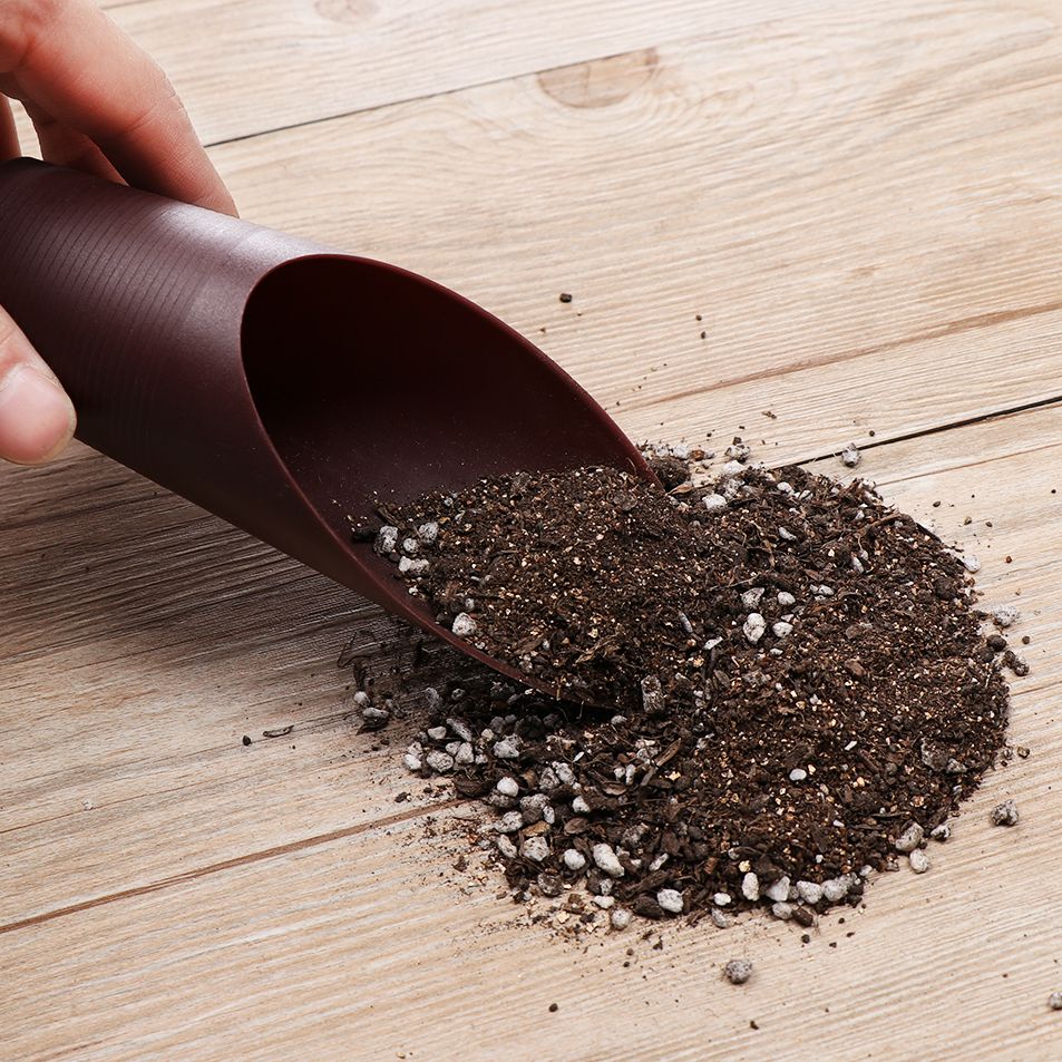 1PC Plastic Soil Shovel Cup Fo - Bonsai Gardenia ulasan dan harga