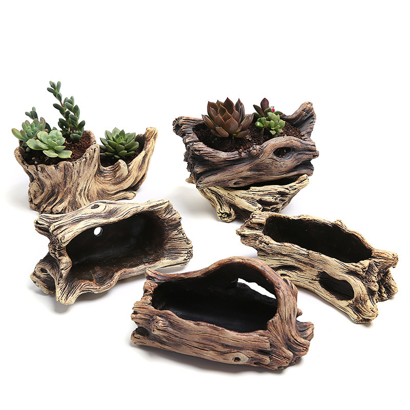 Succulent Flower Pot Wood Tree - Japanese Garden Bonsai ulasan dan harga