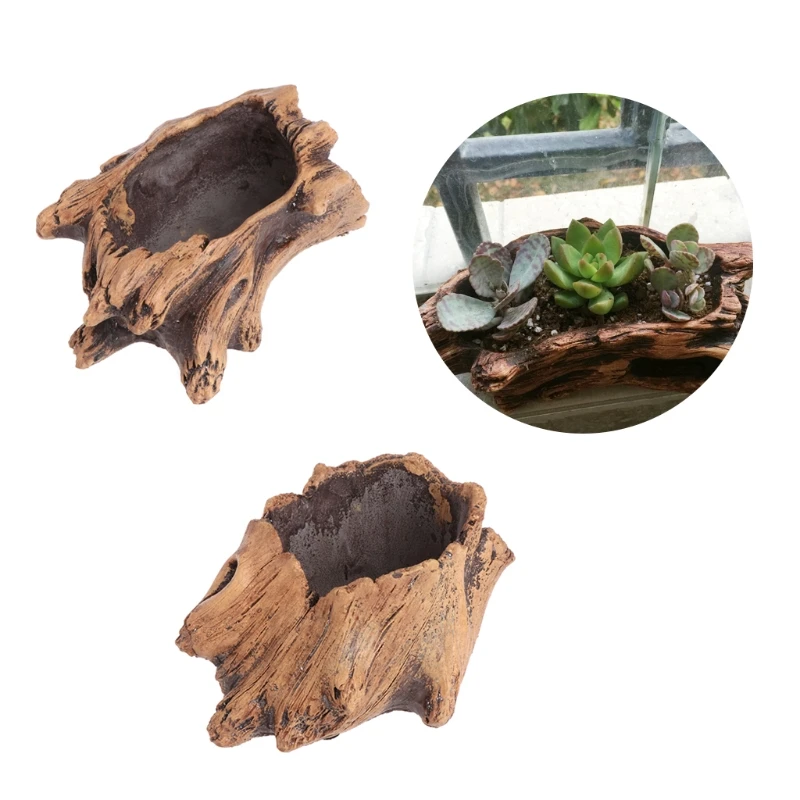 Succulent Flower Pot Wood Tree - Japanese Garden Bonsai ulasan dan harga